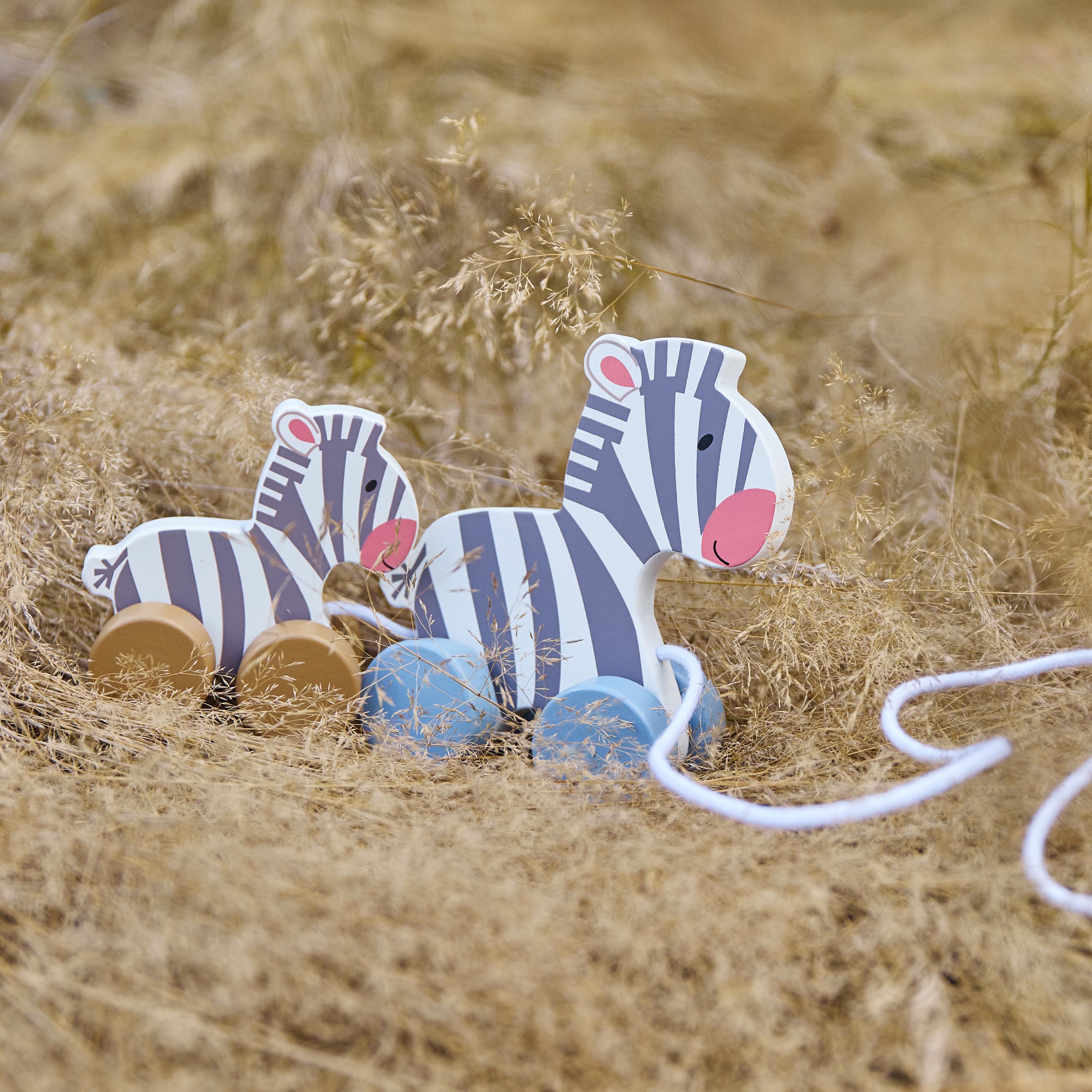 Trækkedyr Zebra